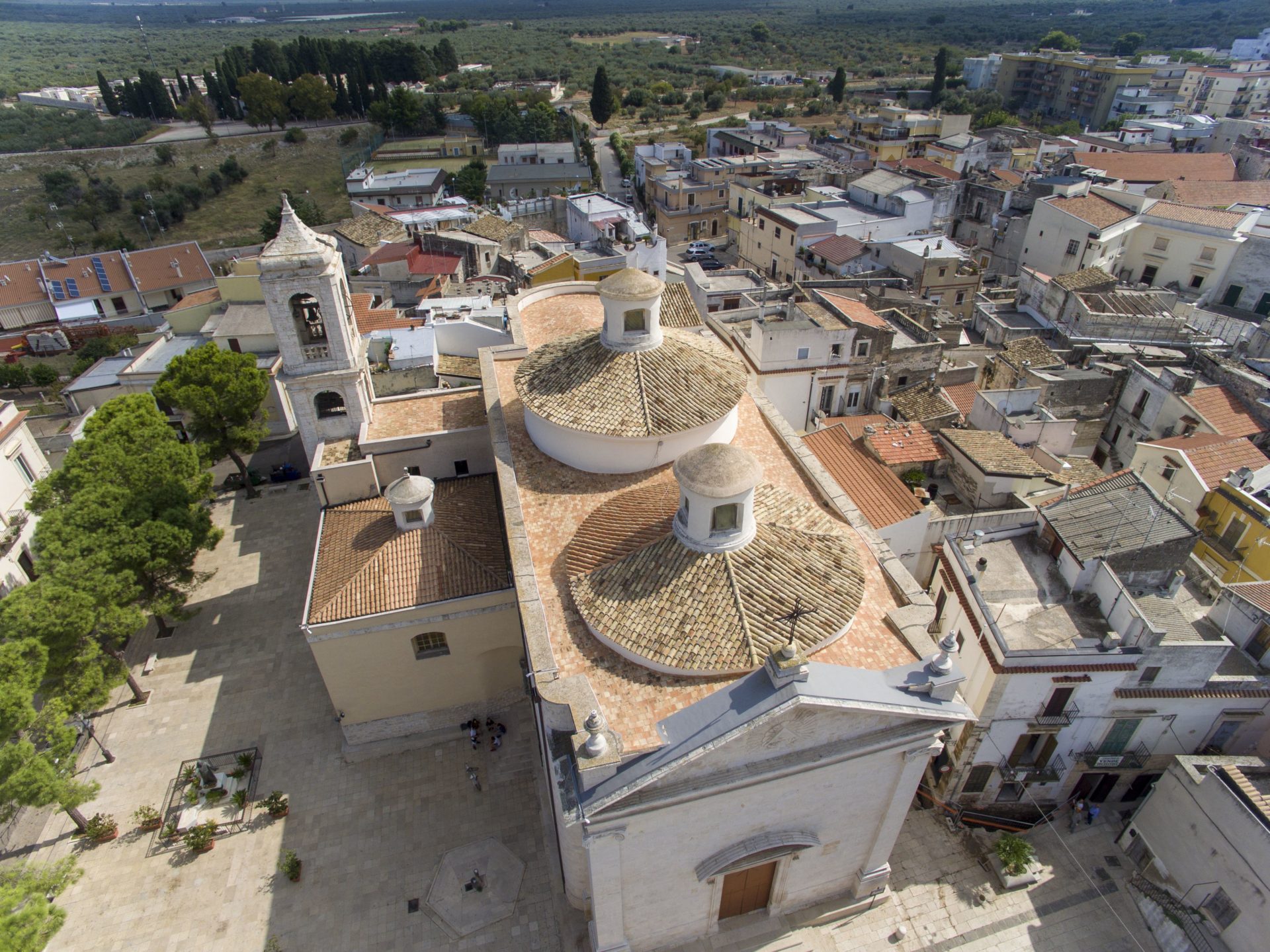 Chiesa Madre o di San Nicola Toritto